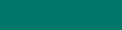 100x400_green